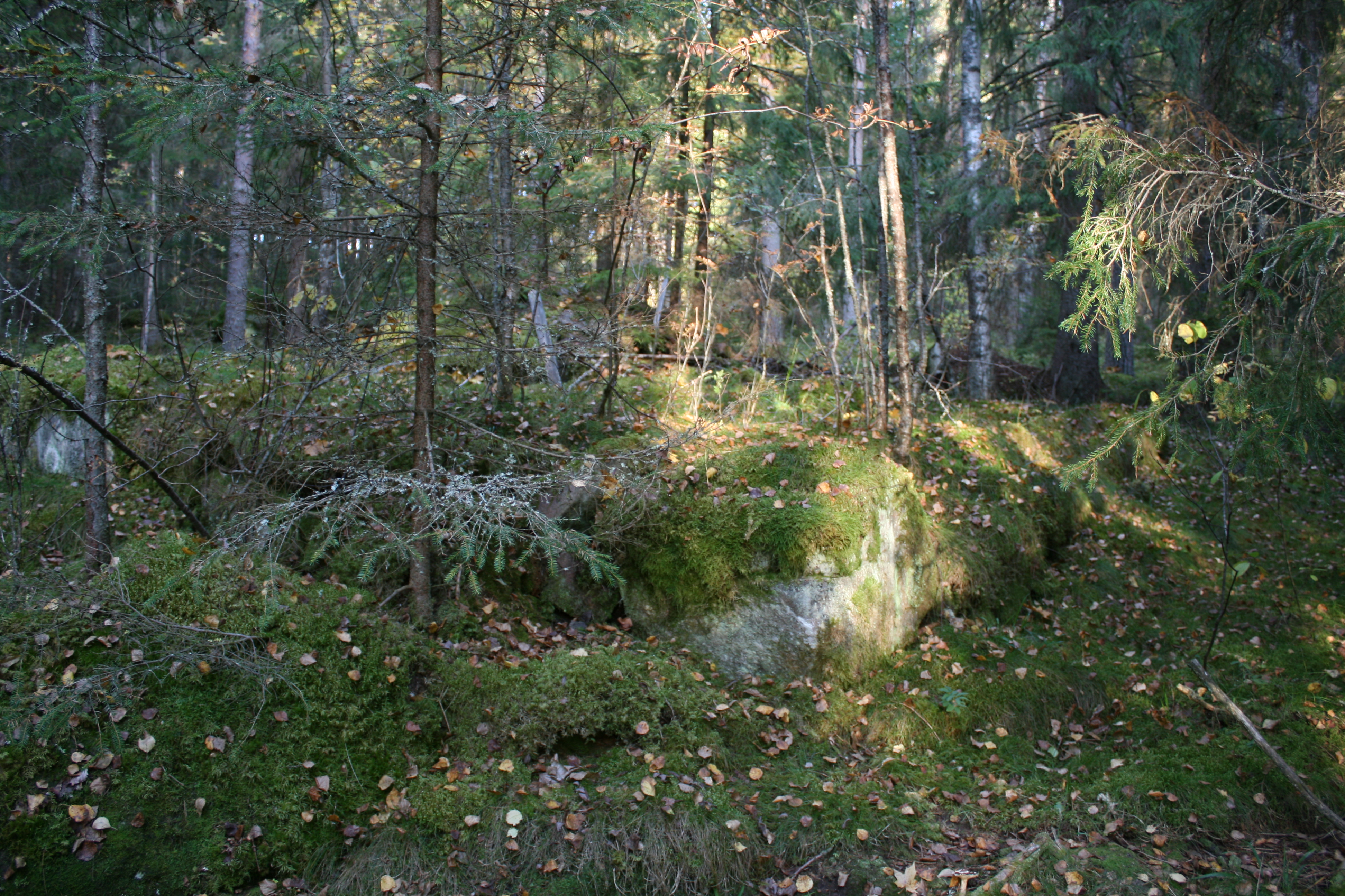 Tegelbruket